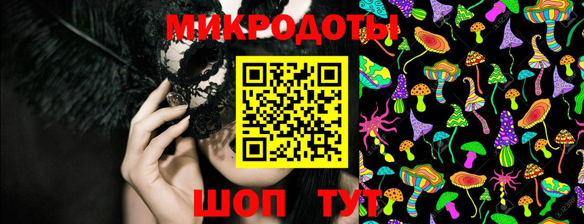 Псилоцибиновые грибы Psilocybe Бердск